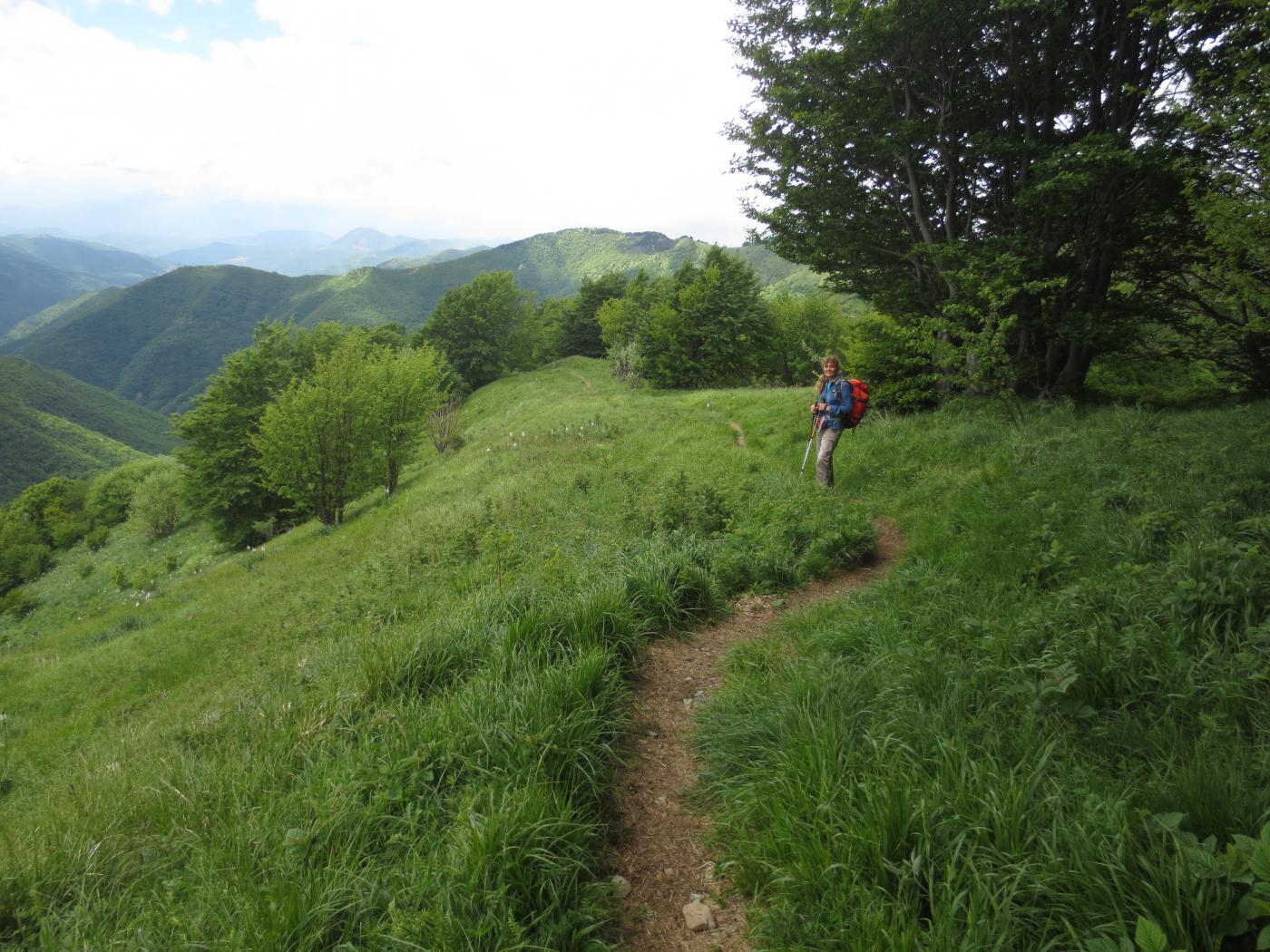 Sulla bucolica cresta tra il monte Antola e il monte Buio