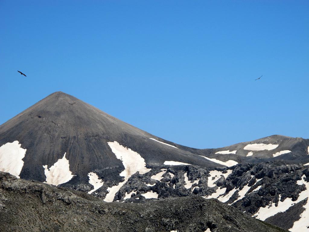 Gipeti sul Grias Soros