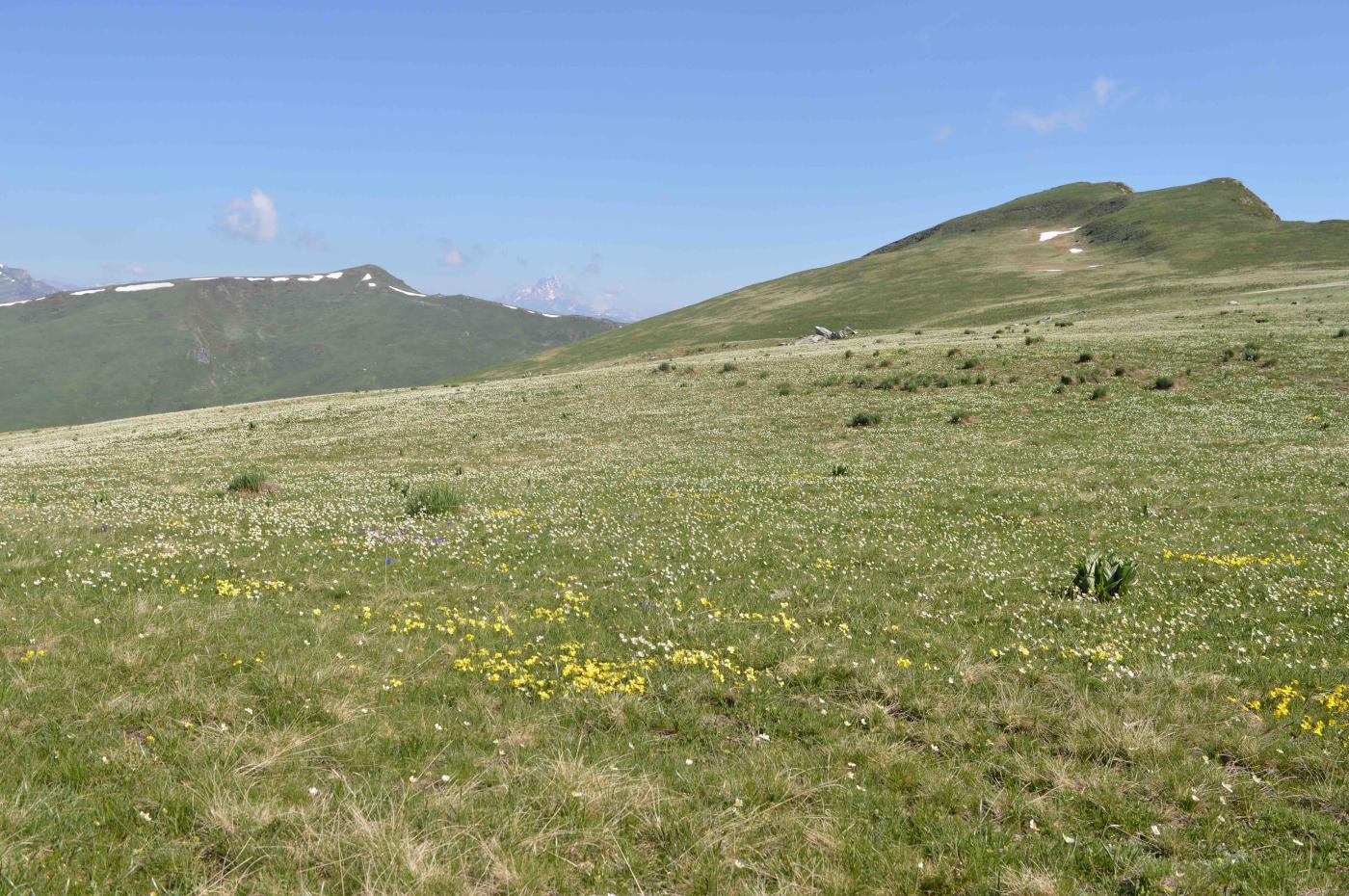 Crinale di salita