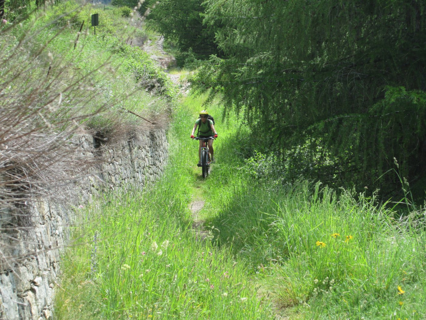il bellissimo sentiero che scende da Gimillian a Epinel