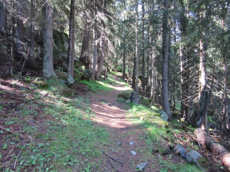 La bella mulattiera reale