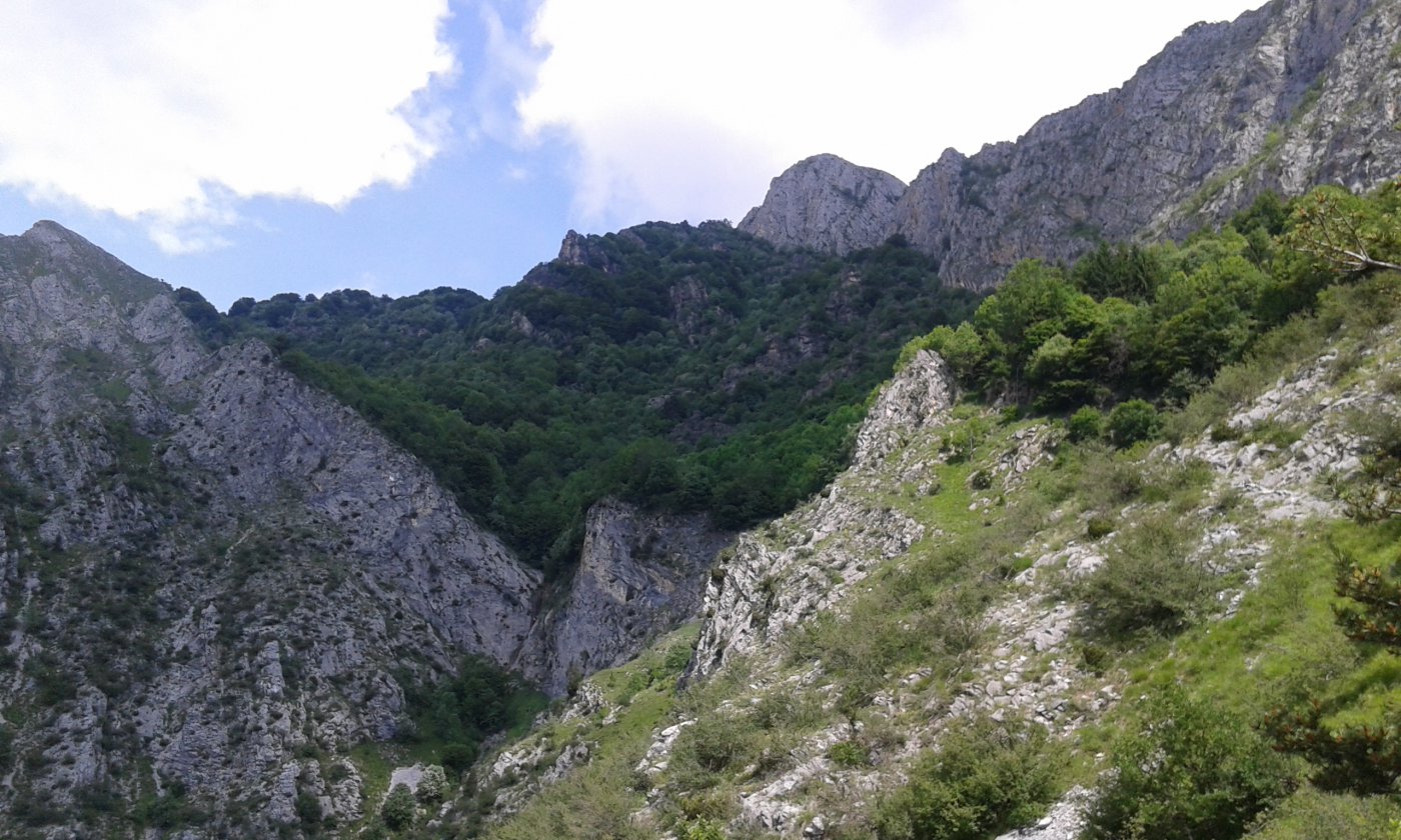 uno sguardo verso la vetta