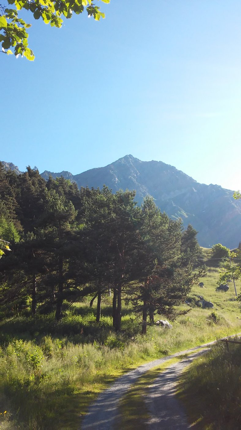 Grand'uia mt.2666 dall'Alpe le Combe