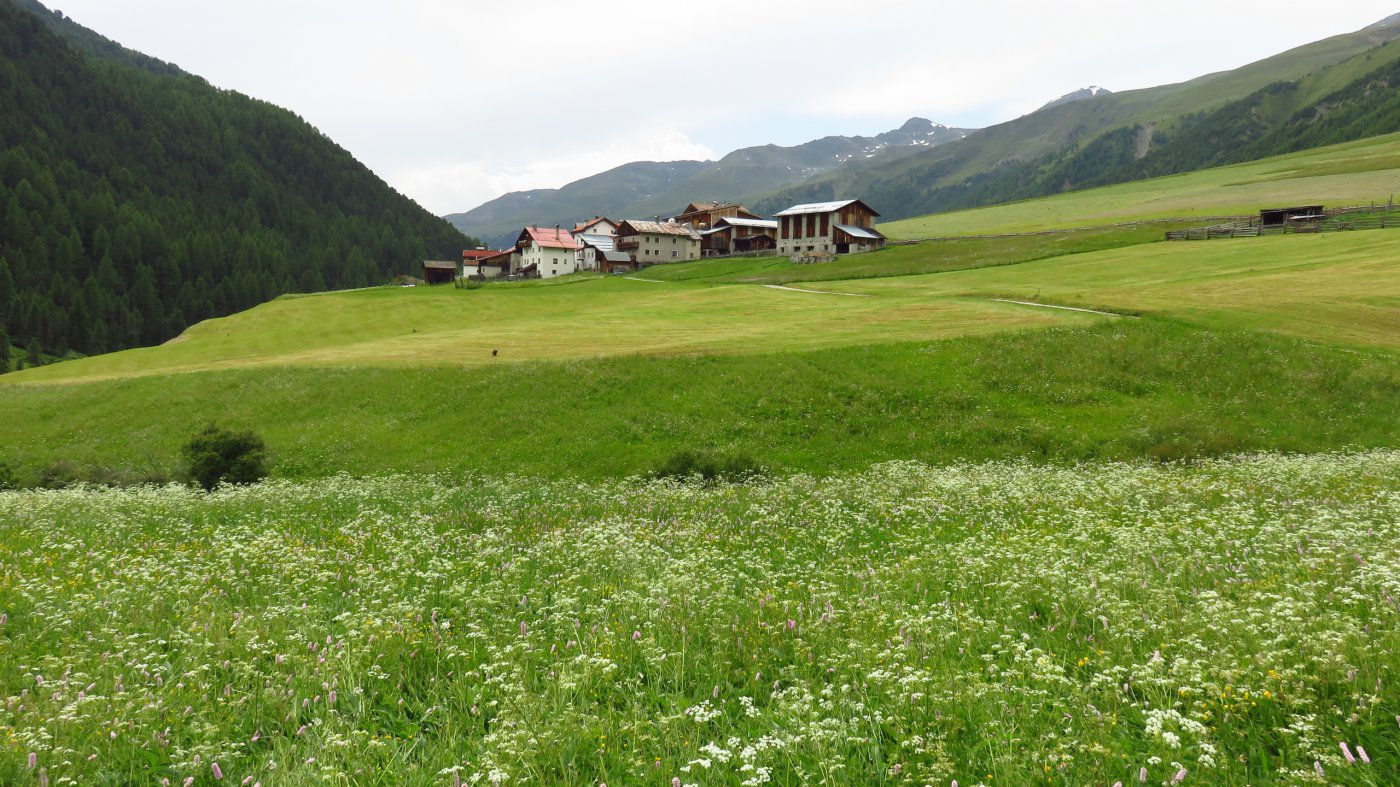 Melago m. 1915, punto di partenza per la salita al Rifugio Pio XI (3-7-2015)