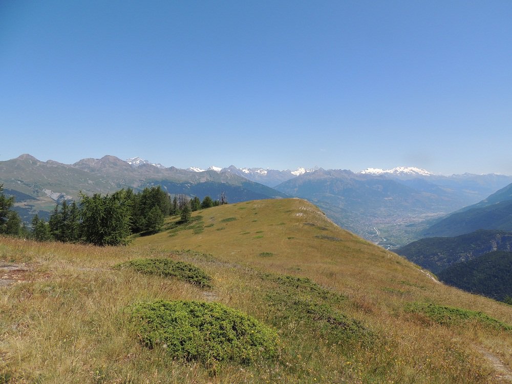panorama da plan Cou verso il gruppo del Rosa