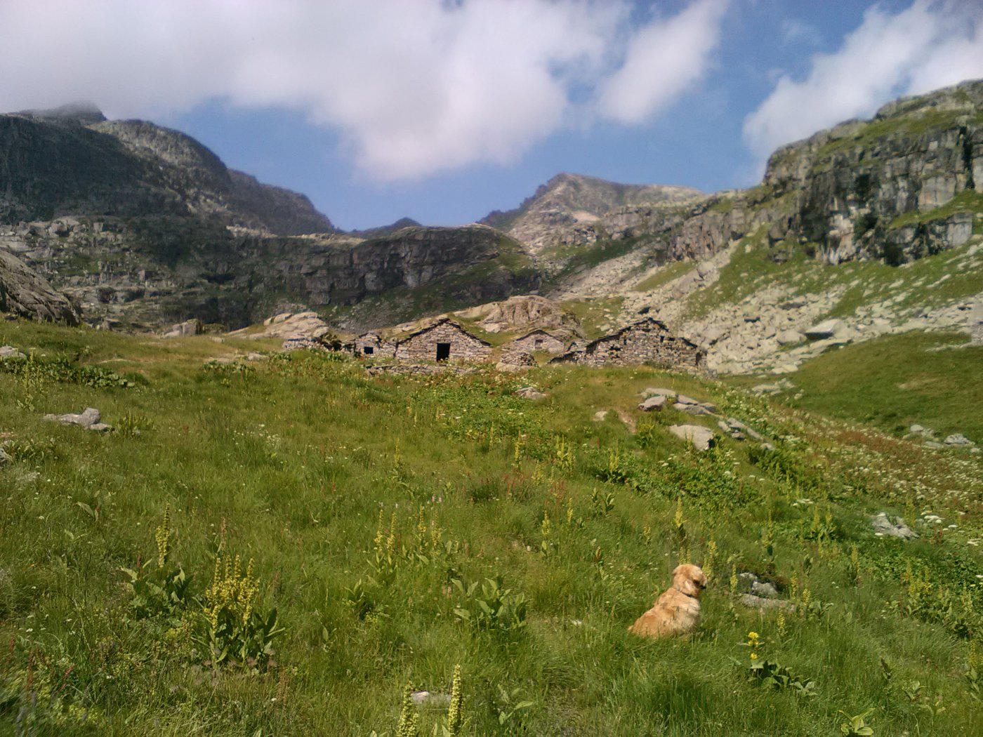 alpe Vailet e colle dellaTerra sullo sfondo