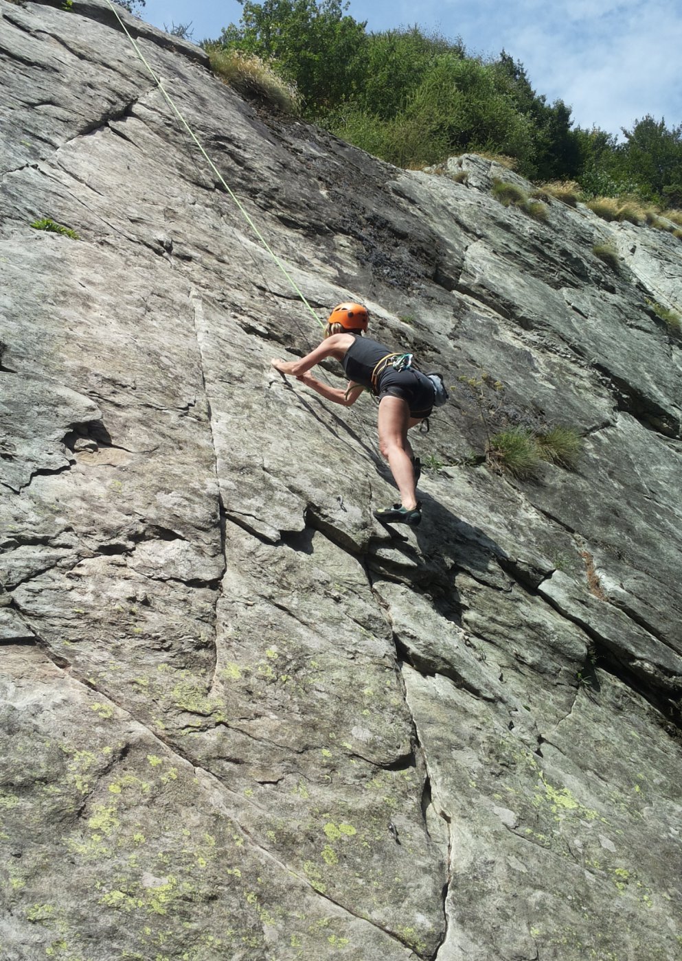 Germana sulla Poiana