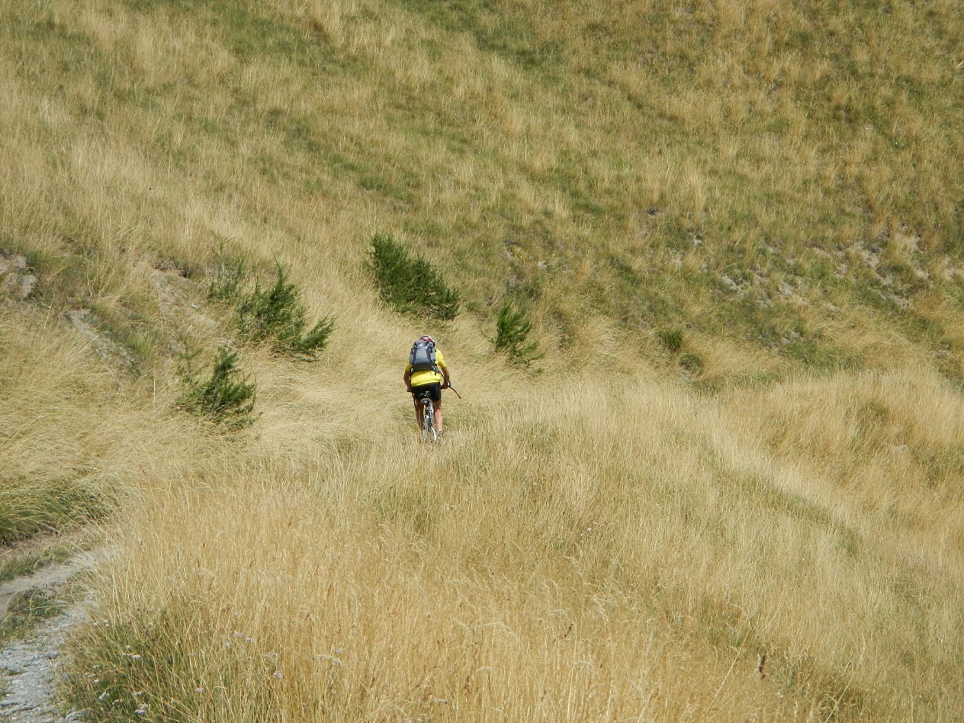 colori già autunnali