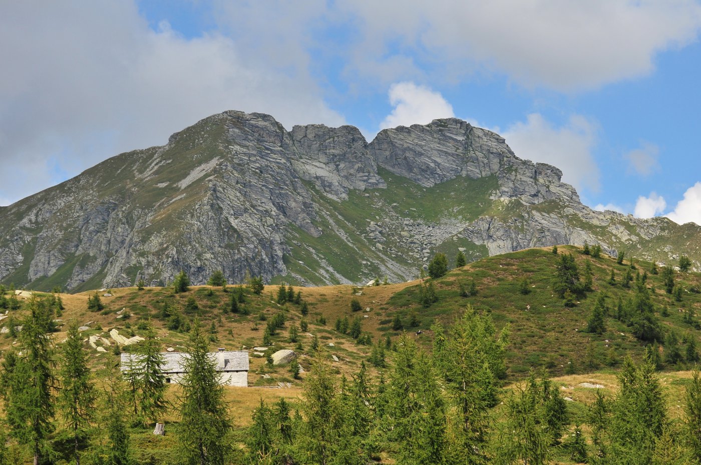 Punta di Pezza Comune