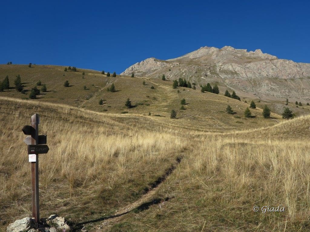Sul Plateau, da lassù la Tete de Viraysse domina tutto