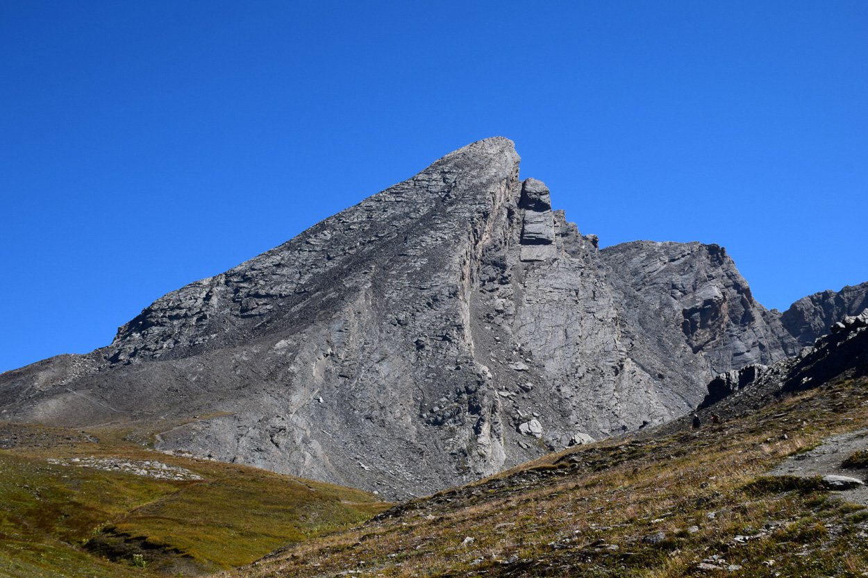 Che spettacolo, per chi riesce a vederlo...