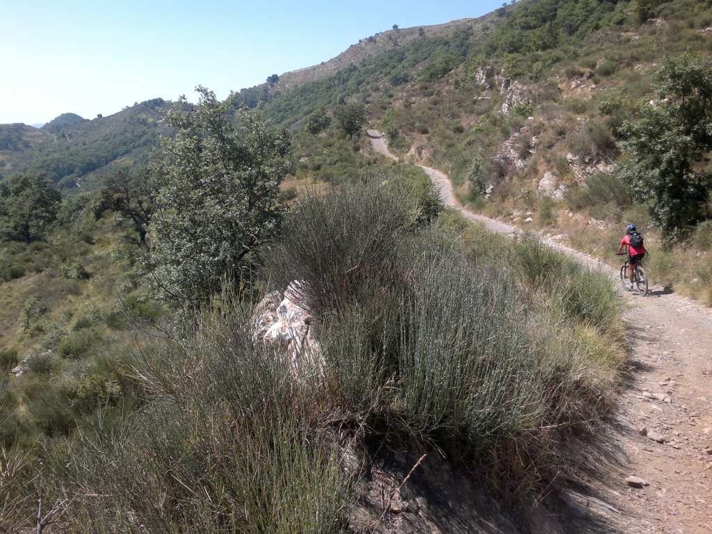 parte centrale in discesa