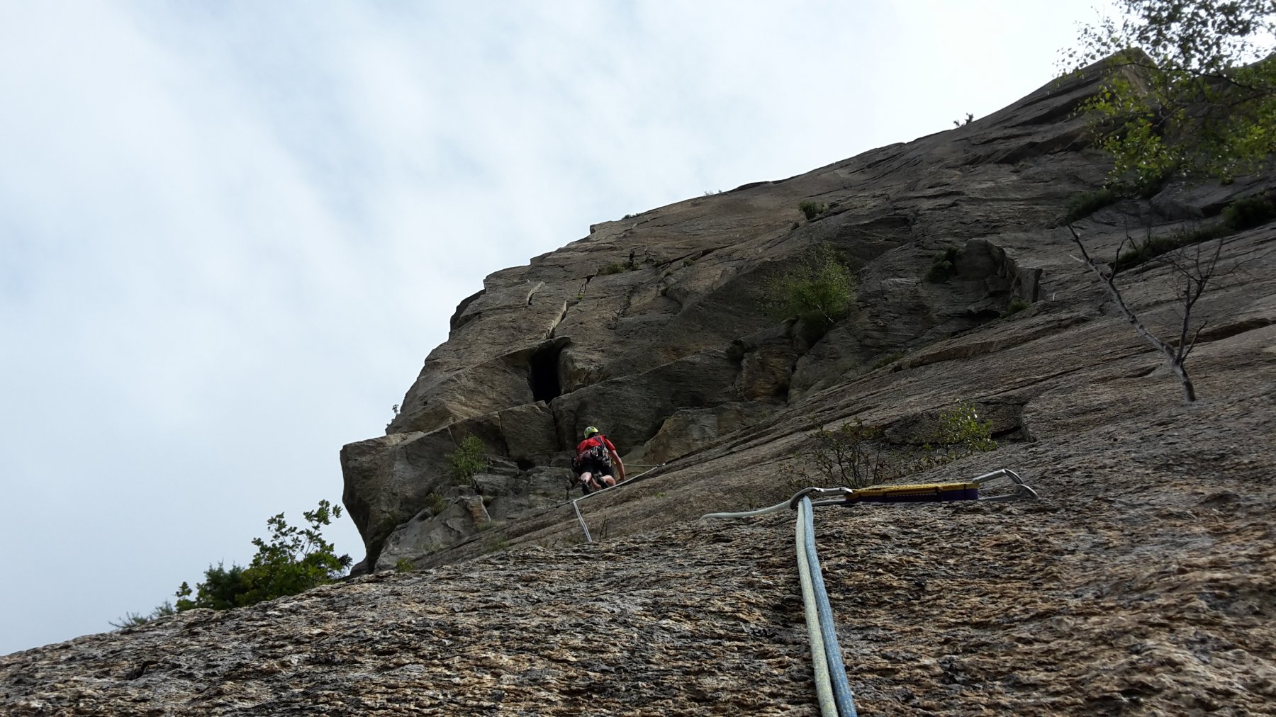 magnifica placca 3° tiro