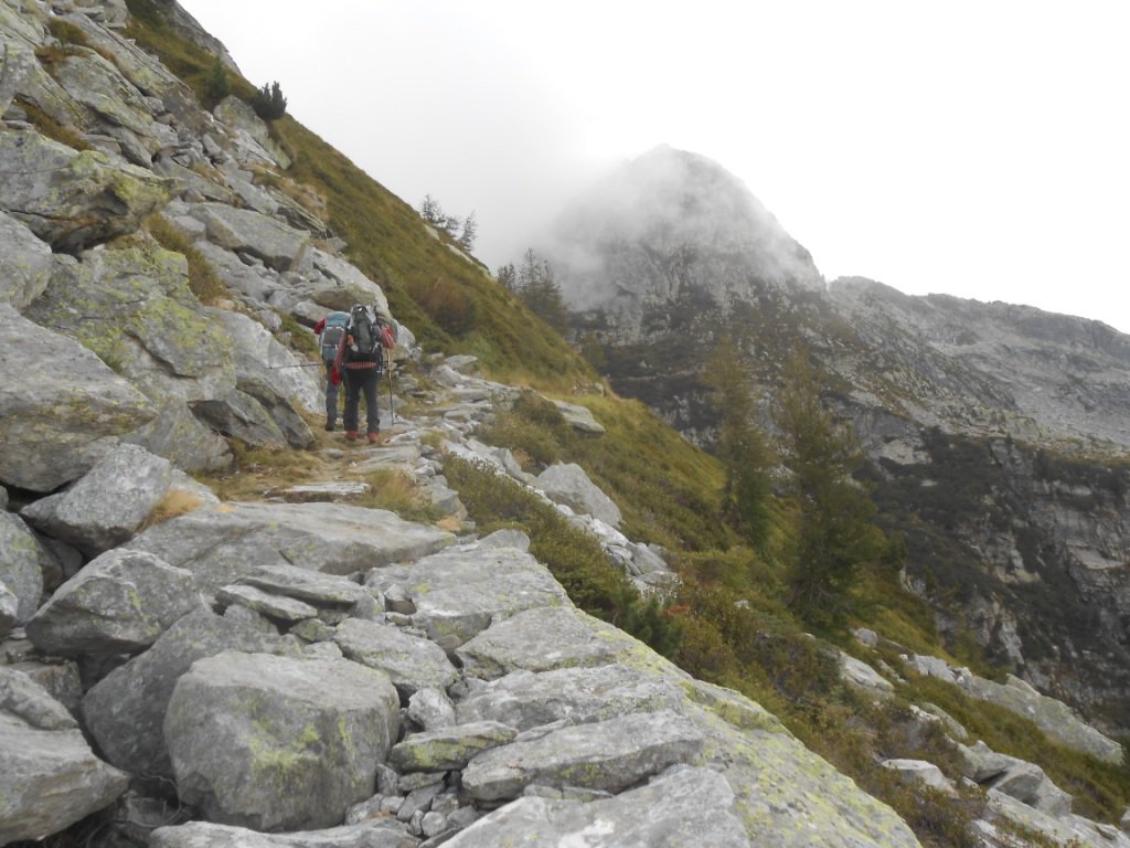 la mulattiera nei pressi del Colle della Vecchia