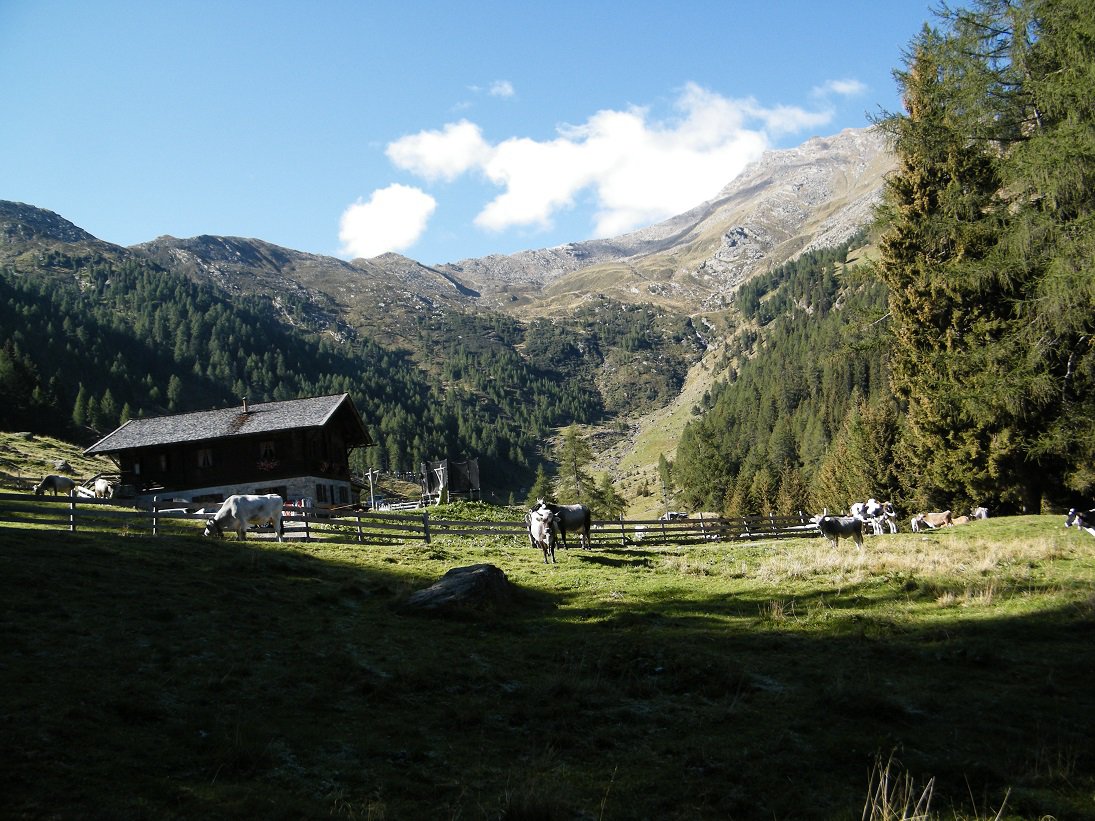 La Untere Ulfaser Alm