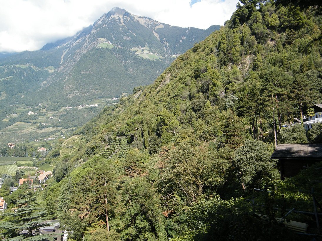 Il boscoso versante meridionale del Kuchelberg attraversato dalla Passeggiata