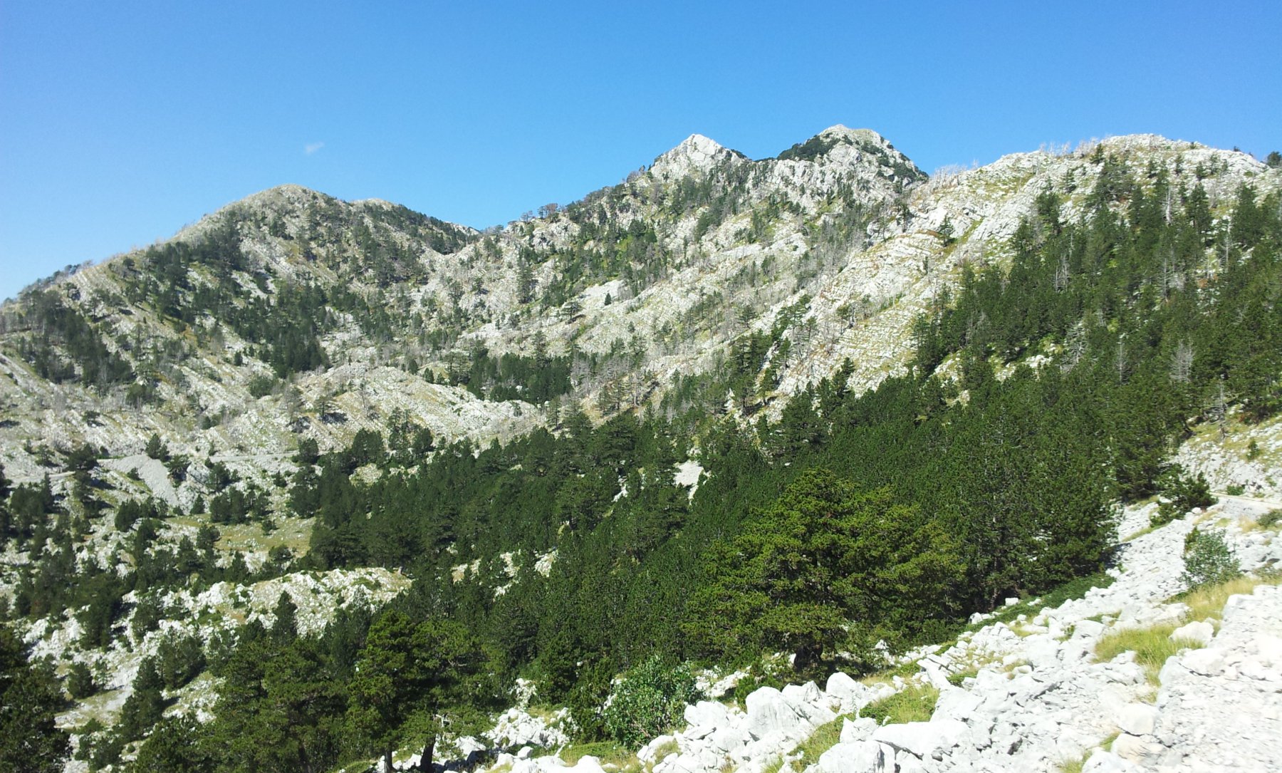 La cima dalla sella dell'Orjen