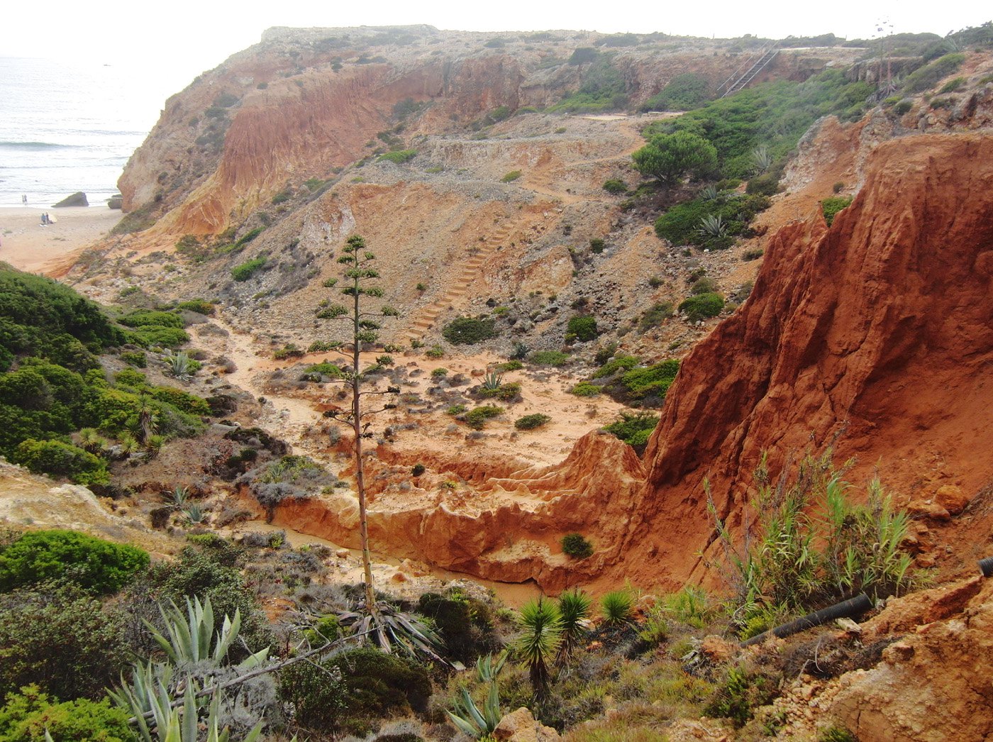Colori dei barranchi