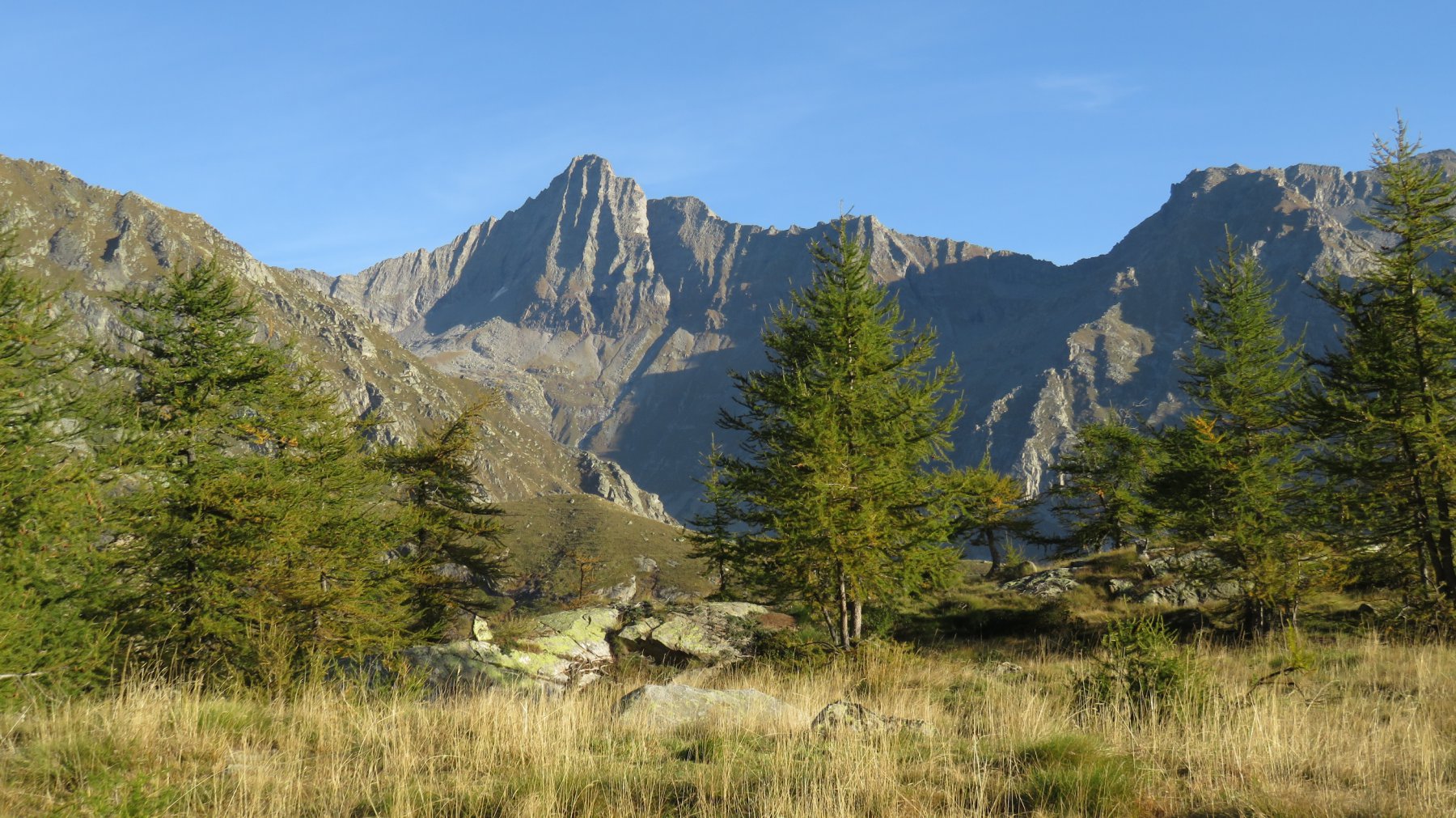 Magnifica Torre Lavina!