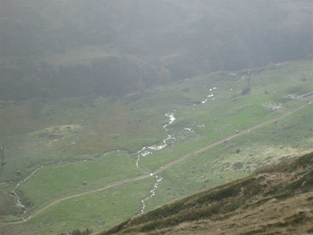 riflessi sul torrente