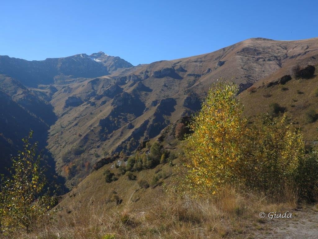 Vallone e colori verso Narbona