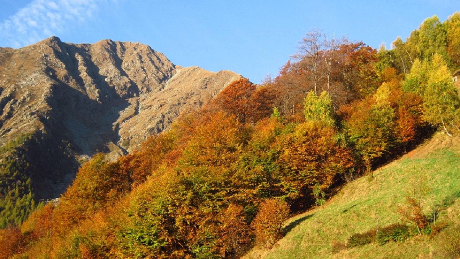 Splendidi colori autunnali