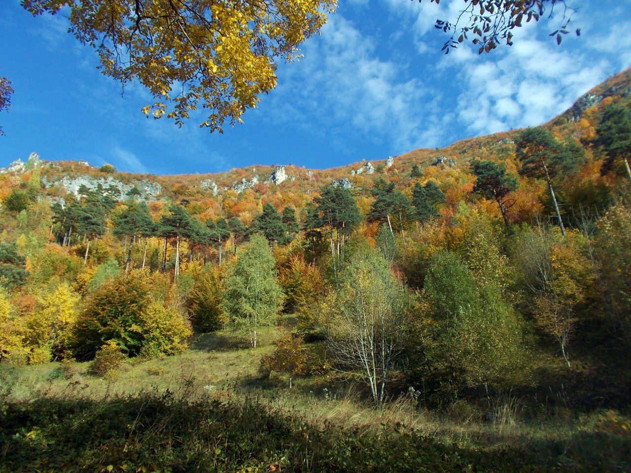 Colori d'autunno alla partenza da Caricatori