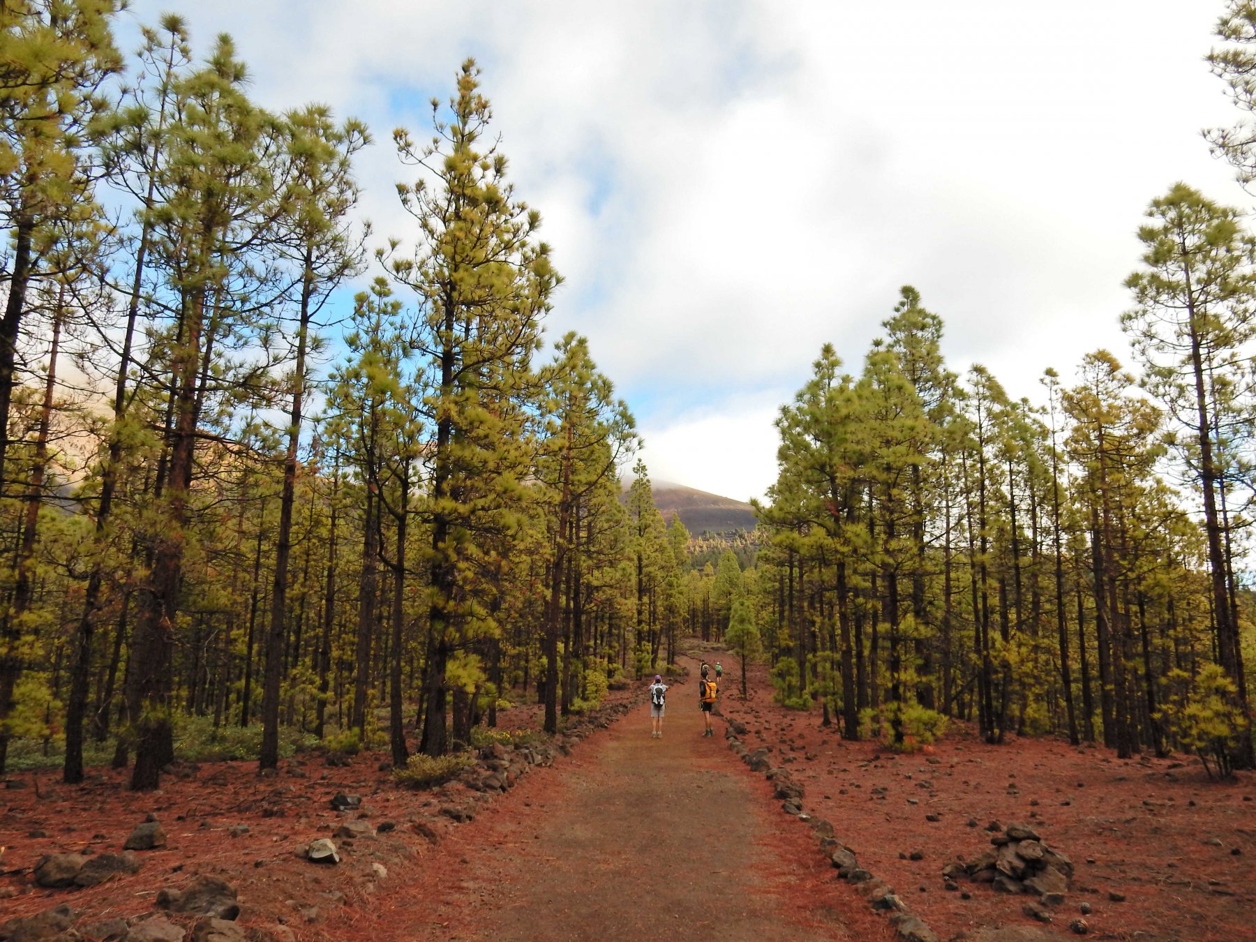 Sul sentiero delimitato.