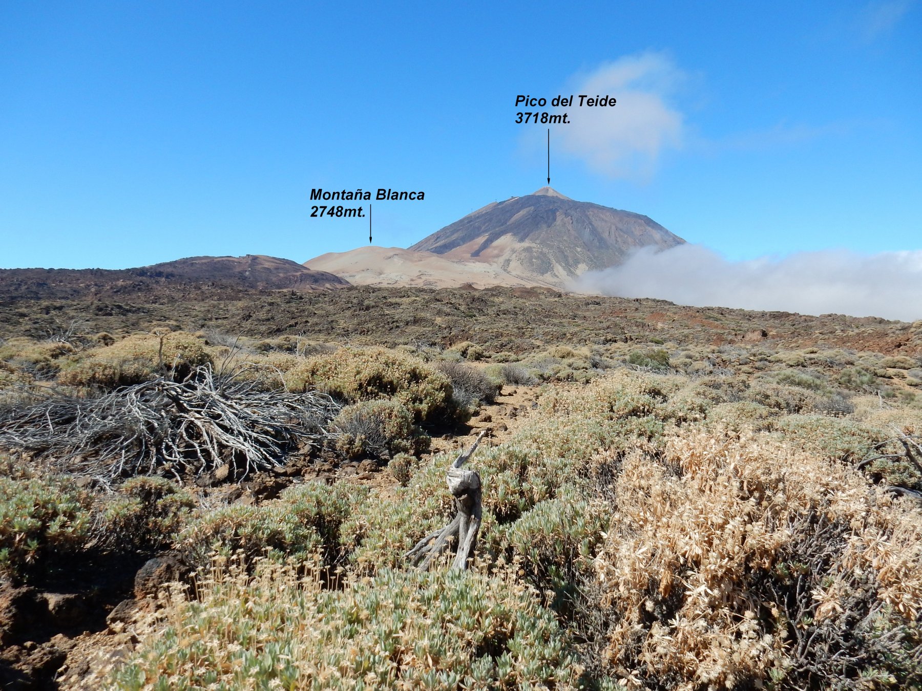 Pico del Teide visto poco dopo essere partiti da El Portillo.