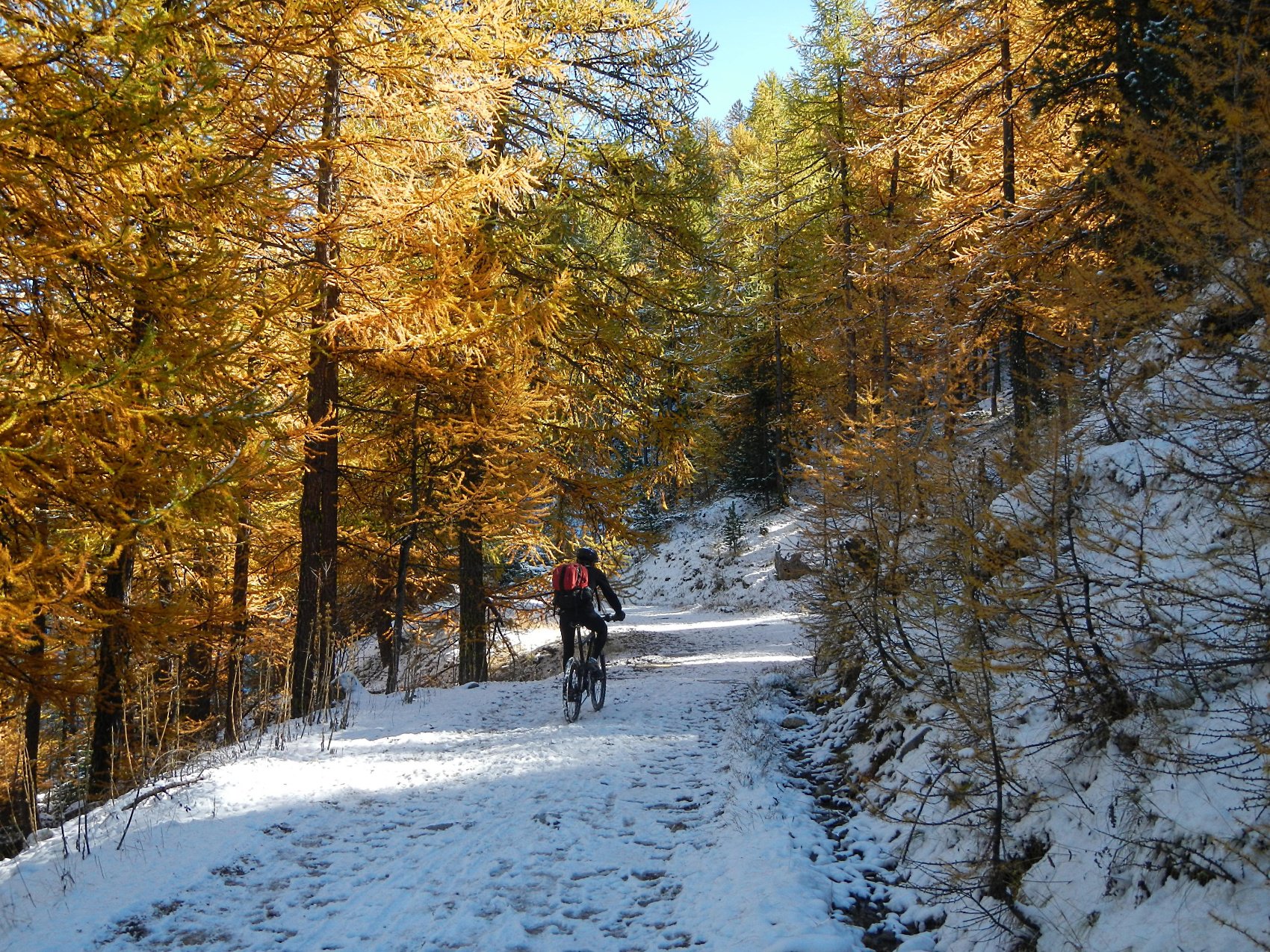 il lungo tratto a mezza costa che attraversa  le Bois Noir