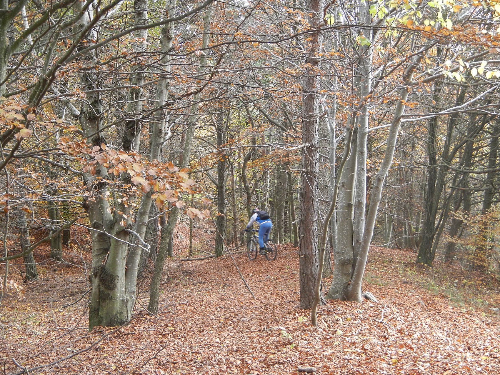la lunga discesa da Prarotto verso Condove