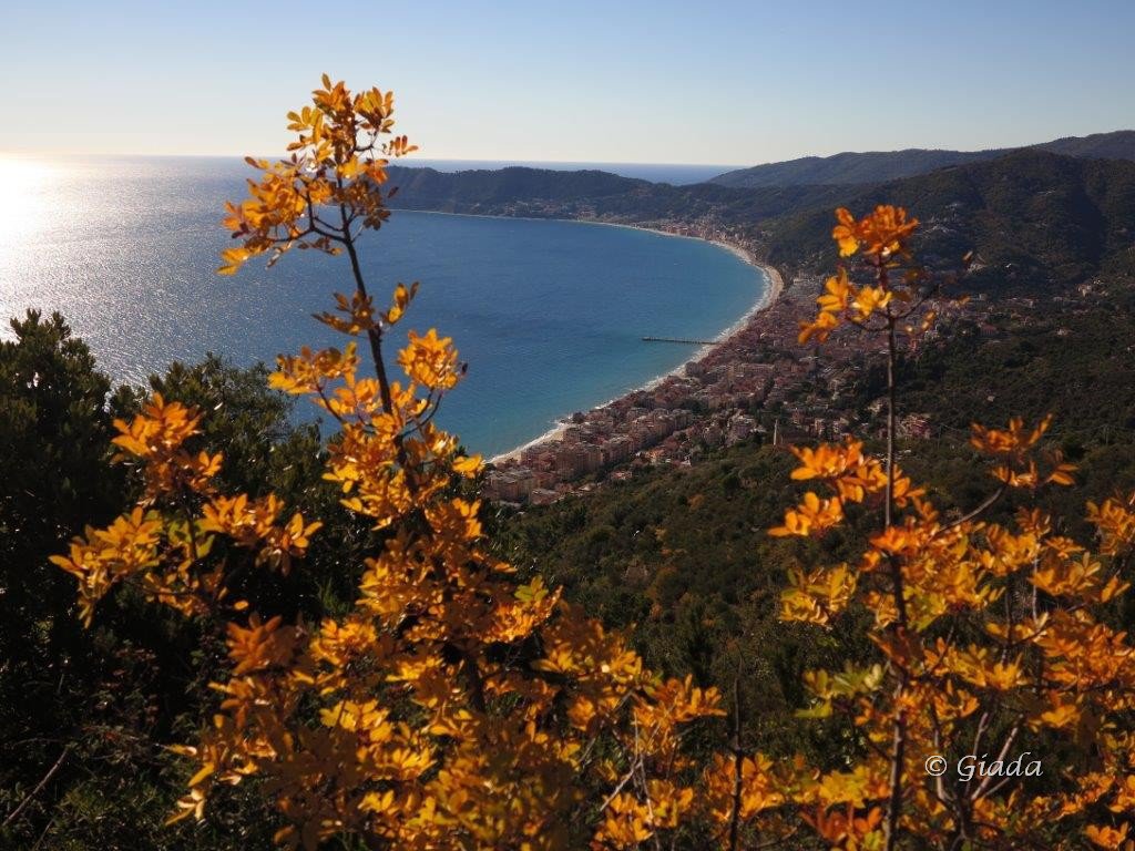 Colori sulla Baia del Sole