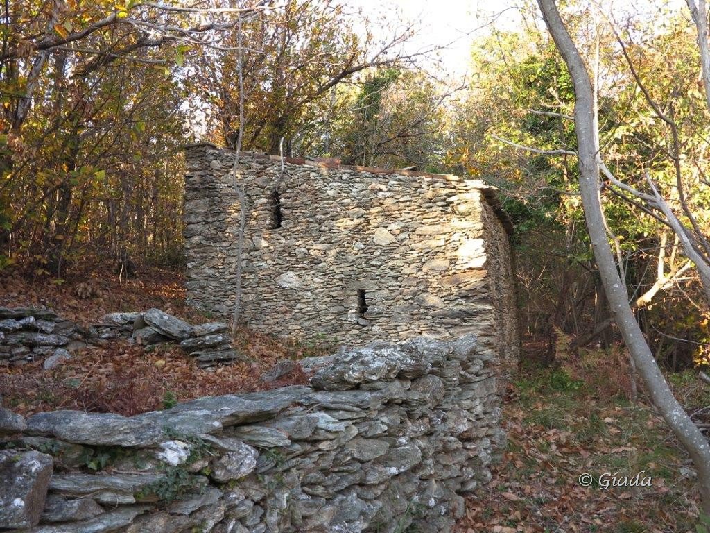 Uno dei Tecci ripuliti