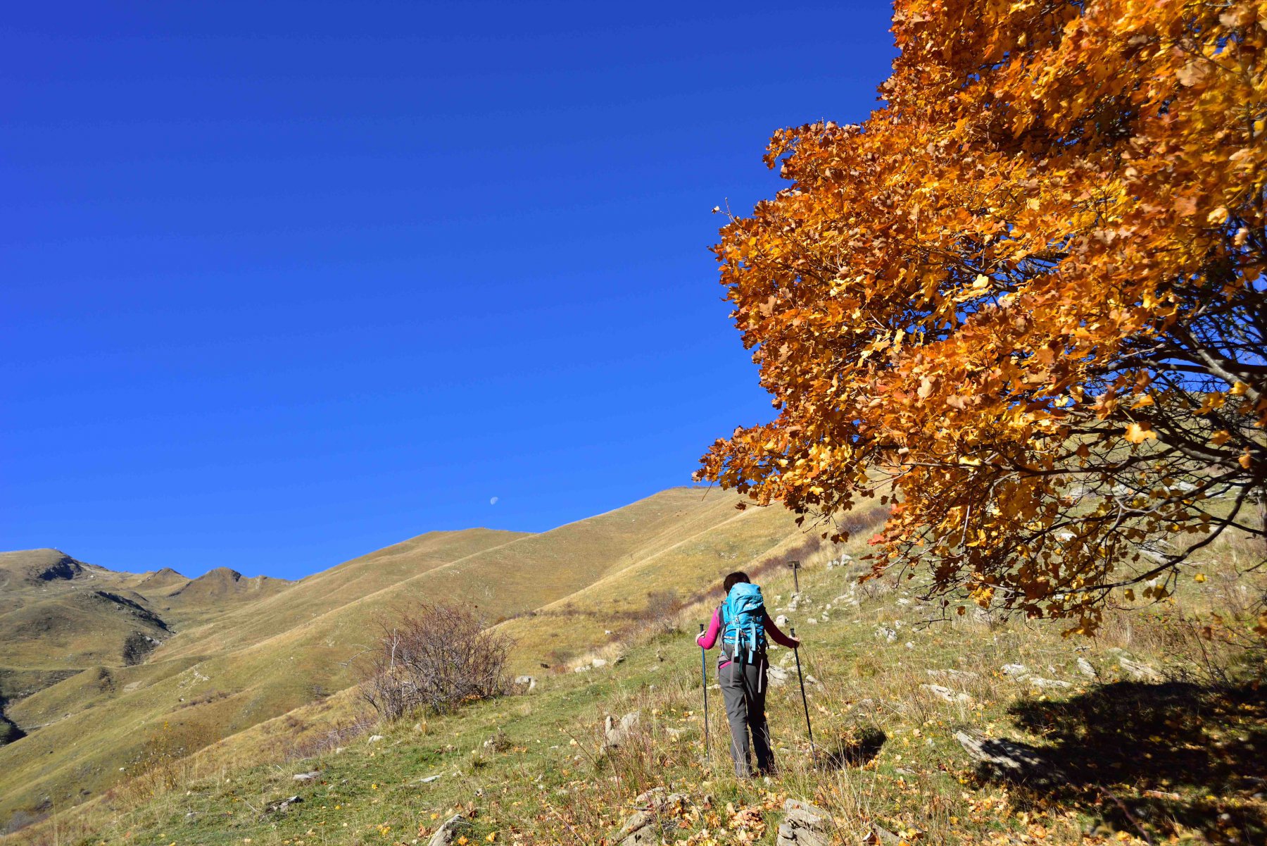 Salendo dalle Case Penna