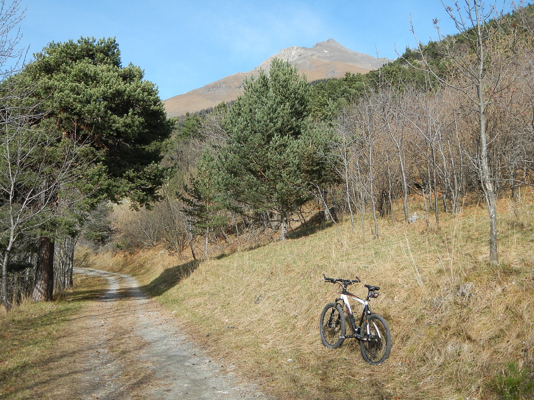vista sul Rocciamelone