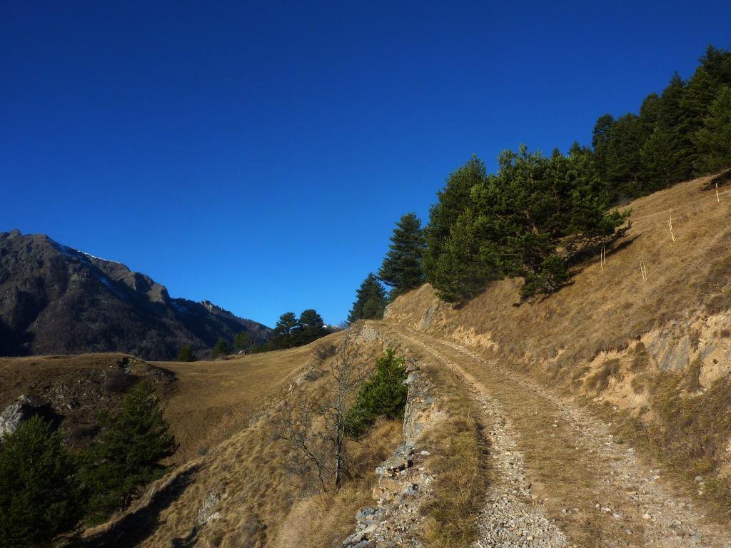 verso il poggio all'inizio della pineta