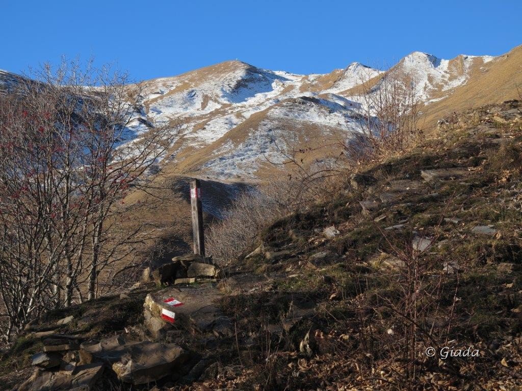 Il Frontè visto salendo dalla strada