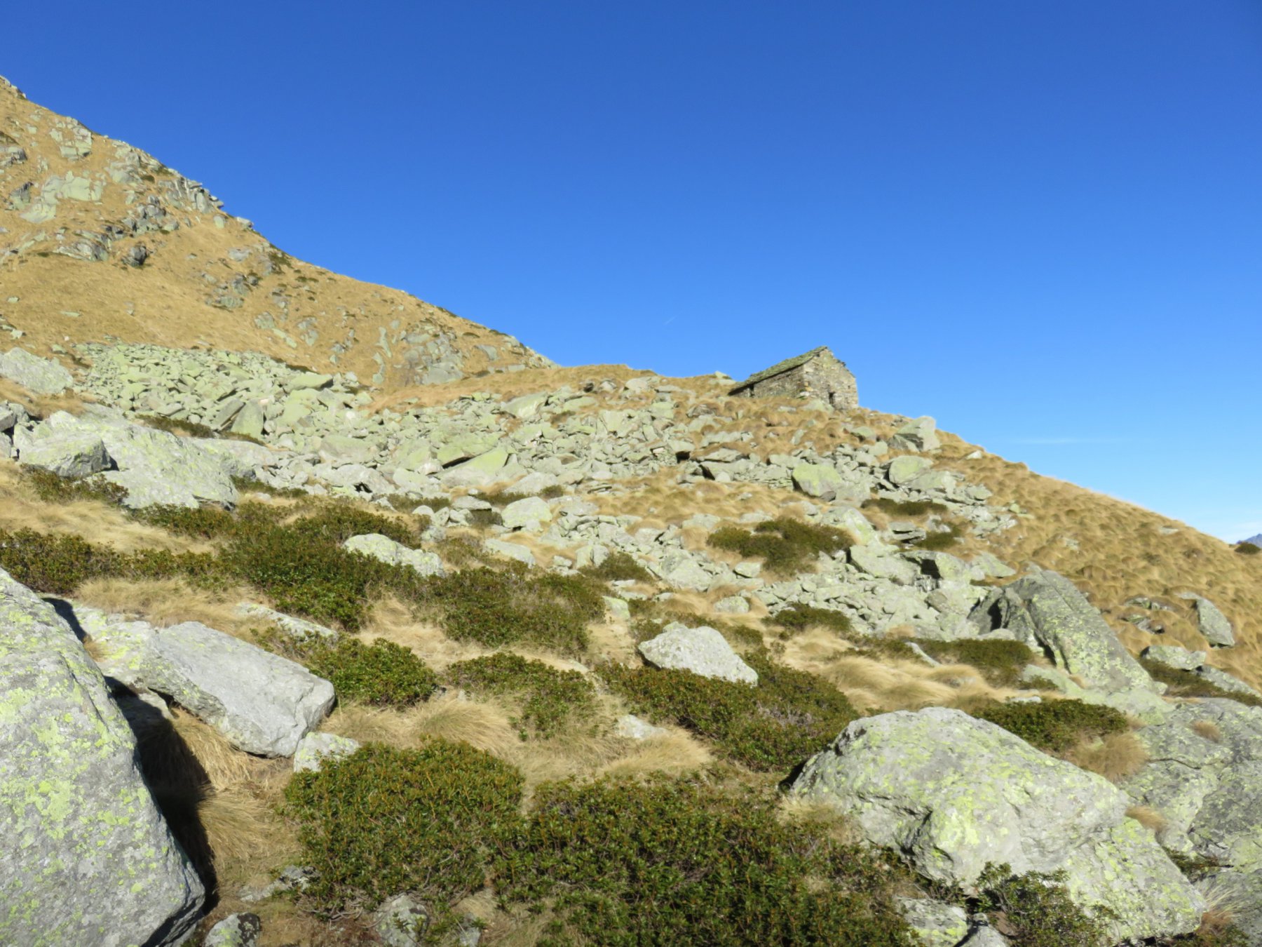 In alto la baita dell'Alpe Vallone