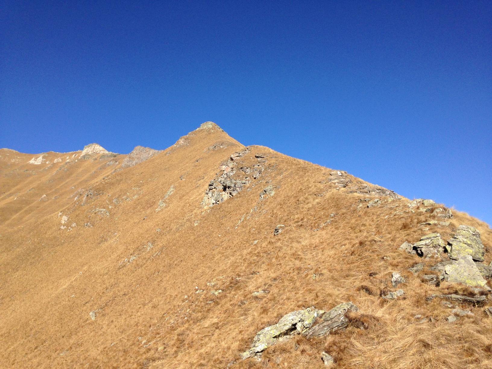 Un pezzo di cresta dal passo