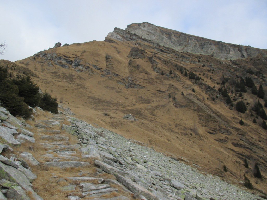 Quattro pilastri