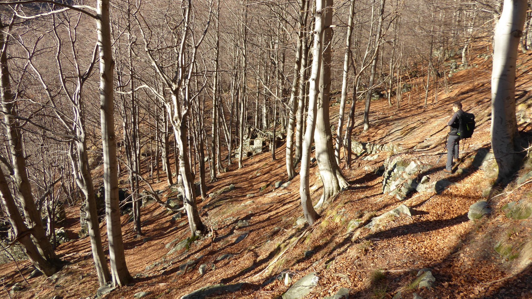 ai Chiali sul sentiero Campiglia-Chiesale