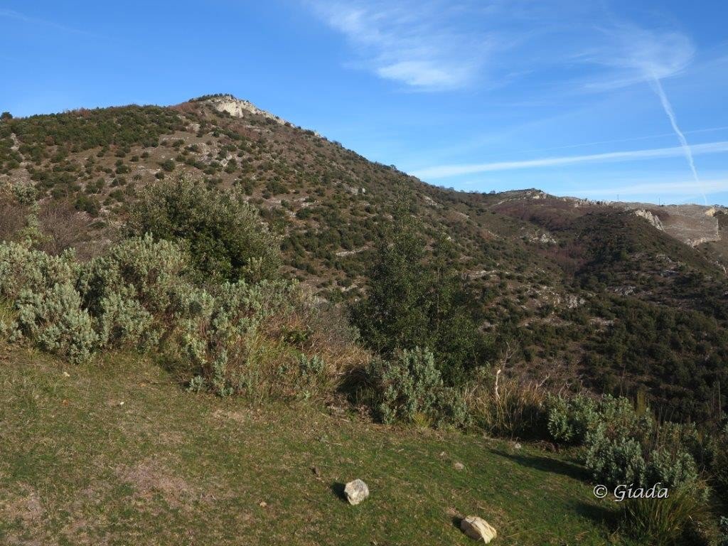 I verdi prati da pascolo sotto al Ceresa