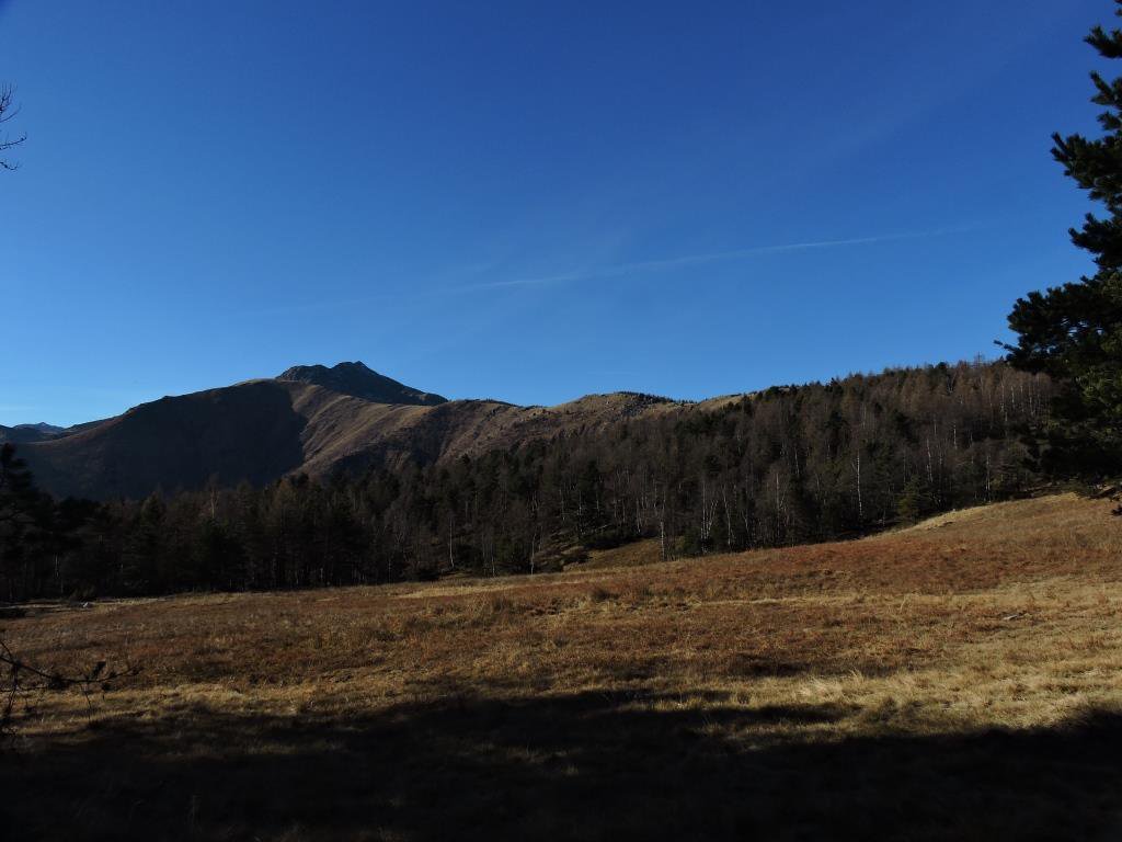 Piano Freira salendo al Colle