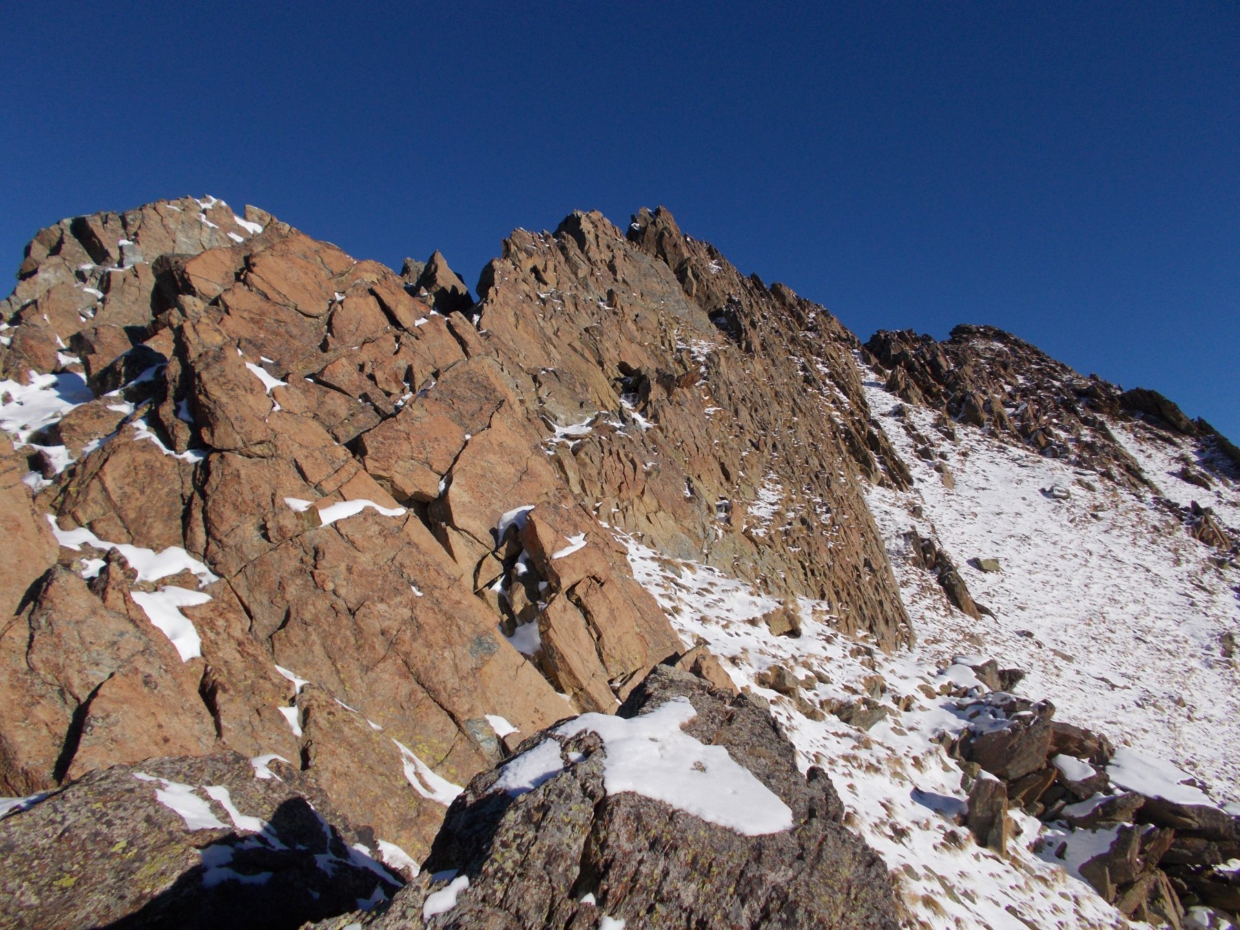 solo ora si puo' parlare di cresta a tutti gli effetti..