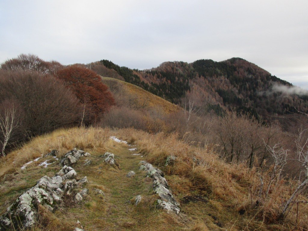 la boscosa cresta del Nudo