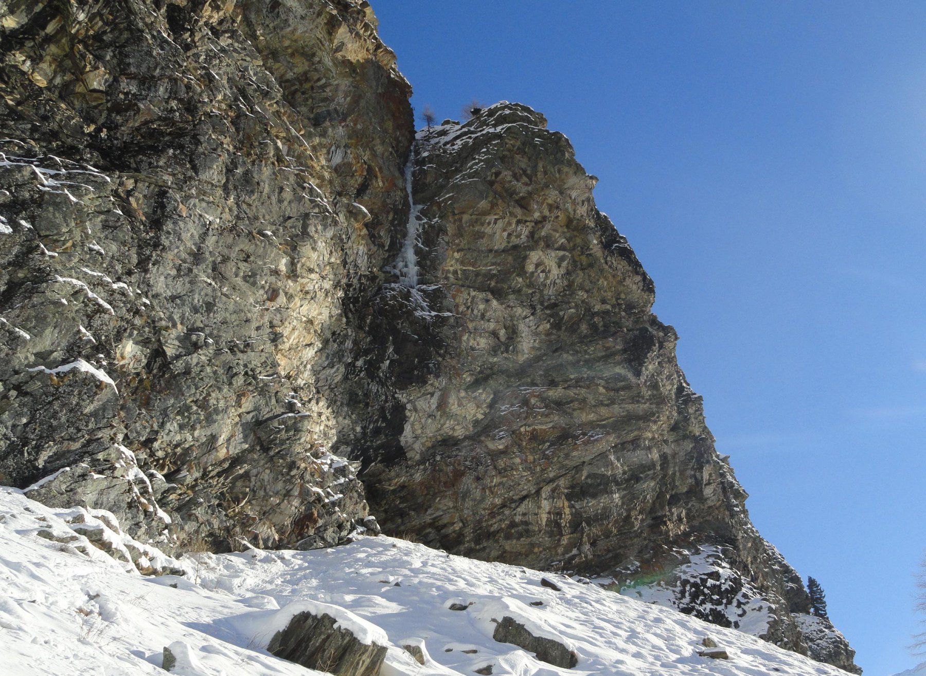 la linea di Gelati no thanks