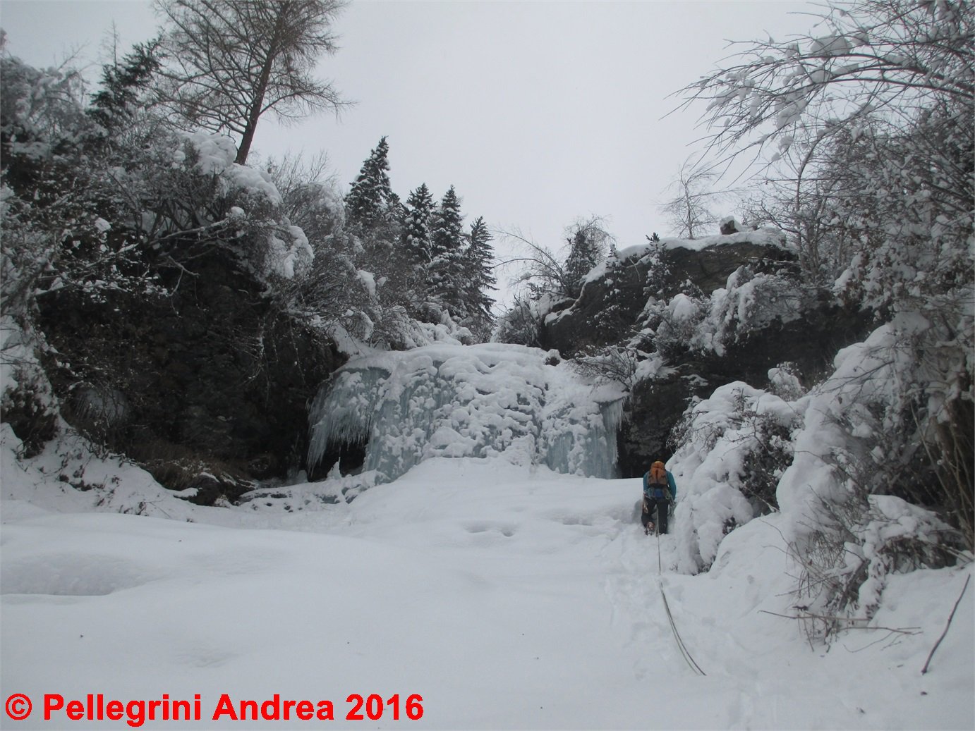 IMG_0736 Cristian su L2