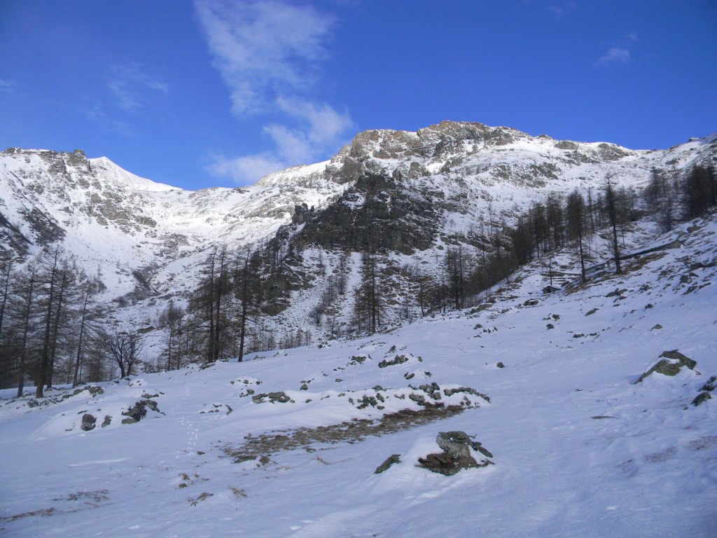 fine del bosco, a dx verso il colle Croset, a sx il valloncello di salita, in centro la Punta Rous