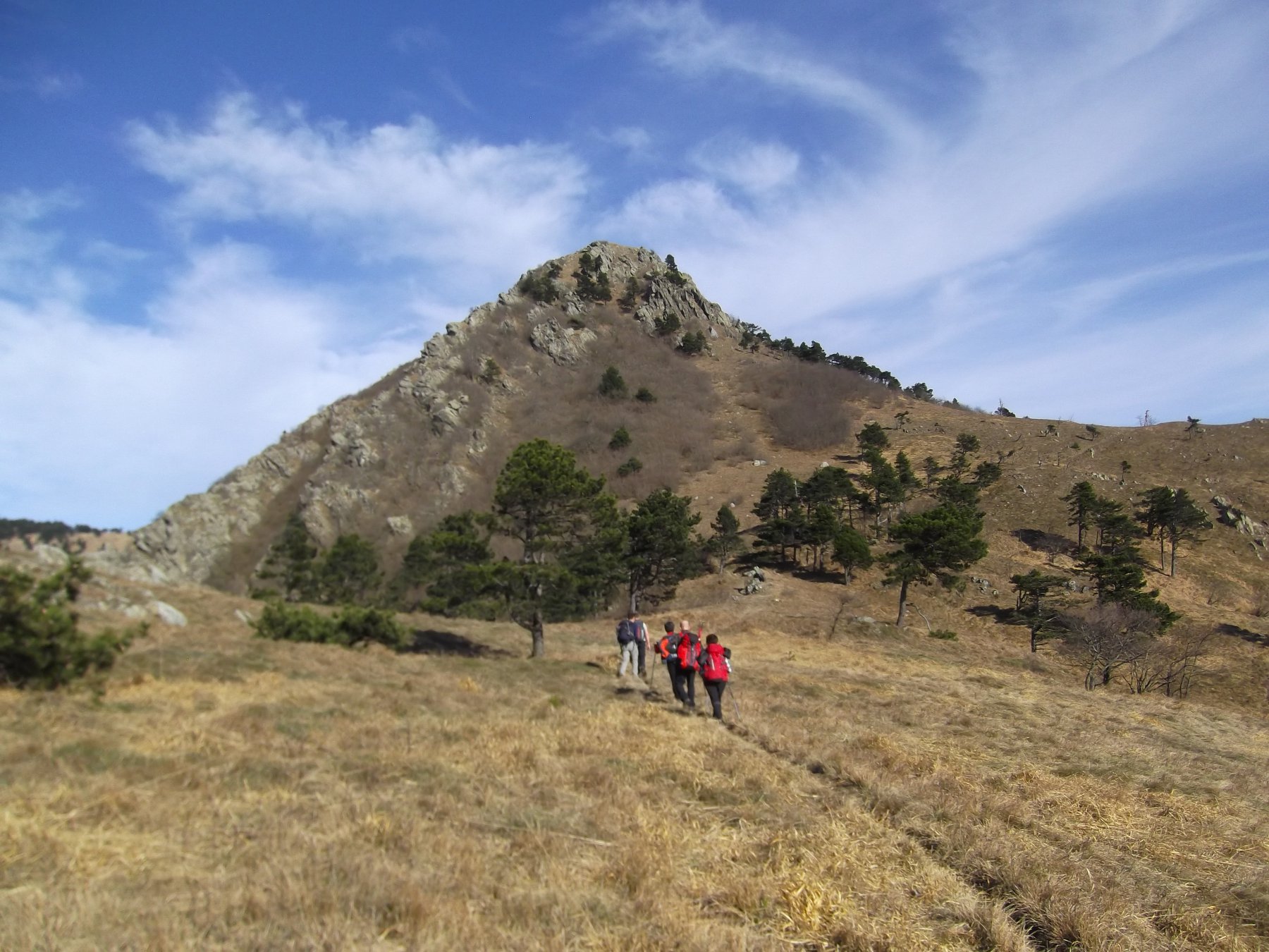 Monte Argentea vicina.