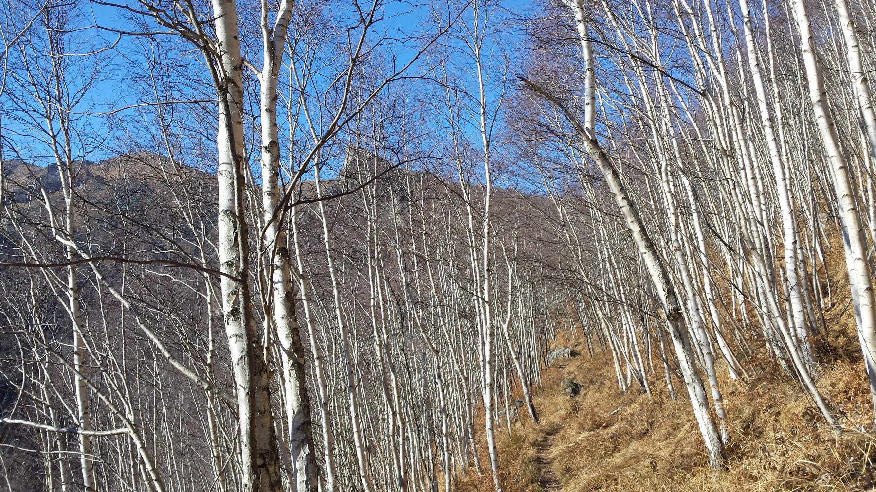 Passato il colle Gui...